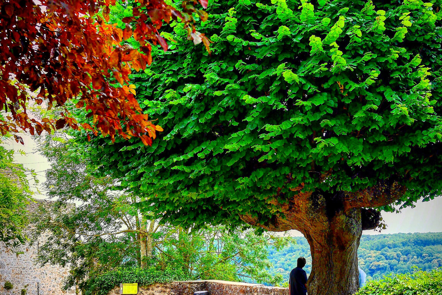 Eric Krissi photographe InstaLife Périgord France