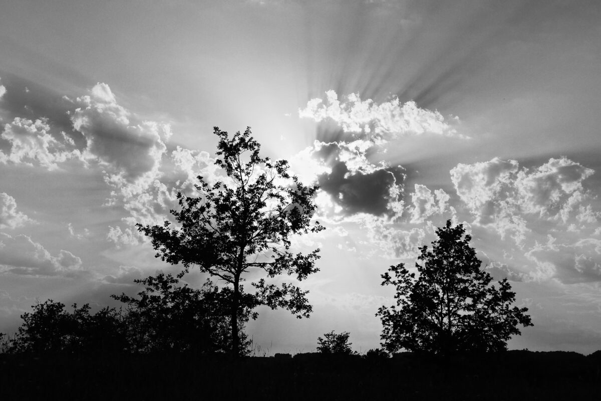 Eric Krissi photographe black and white Dordogne France